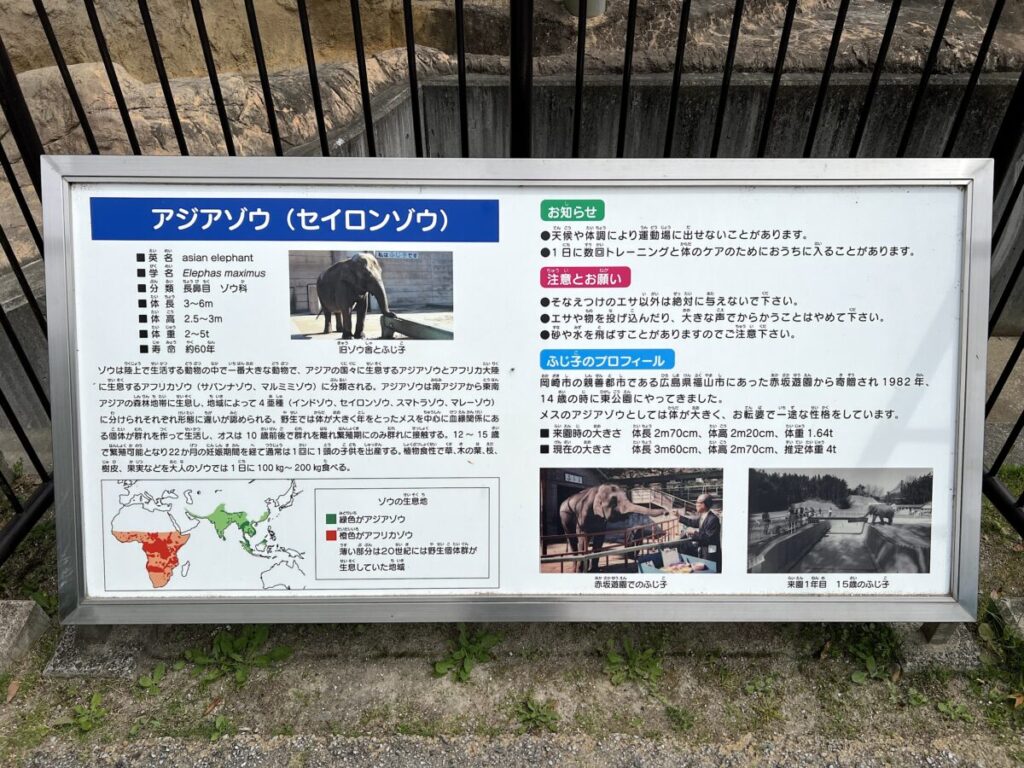 岡崎市東公園動物園 アジアゾウ ふじ子