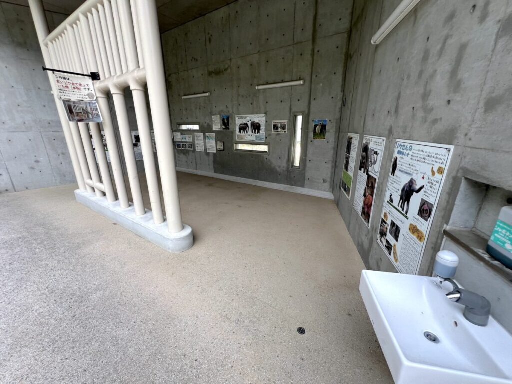 岡崎市東公園動物園 アジアゾウ ふじ子