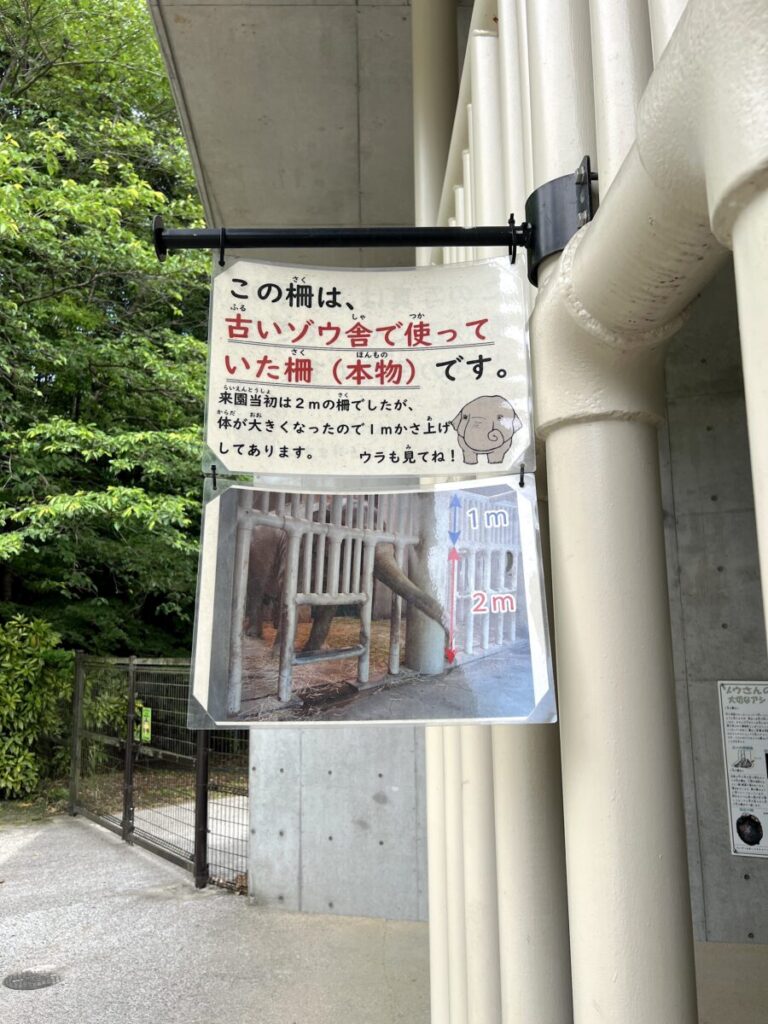岡崎市東公園動物園 アジアゾウ ふじ子