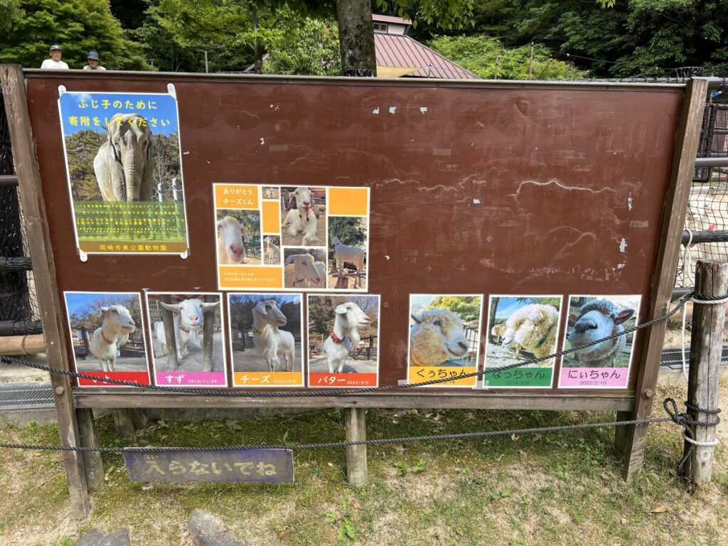 岡崎市東公園動物園 アジアゾウ ふじ子
