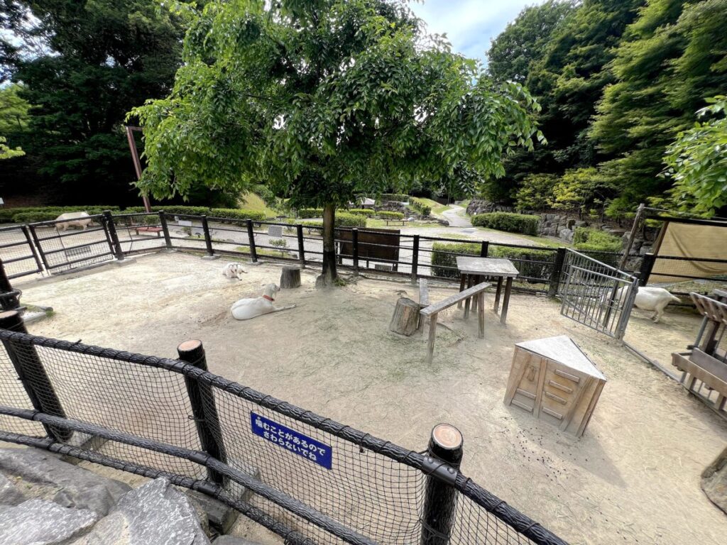 岡崎市東公園動物園 動物ふれあい広場