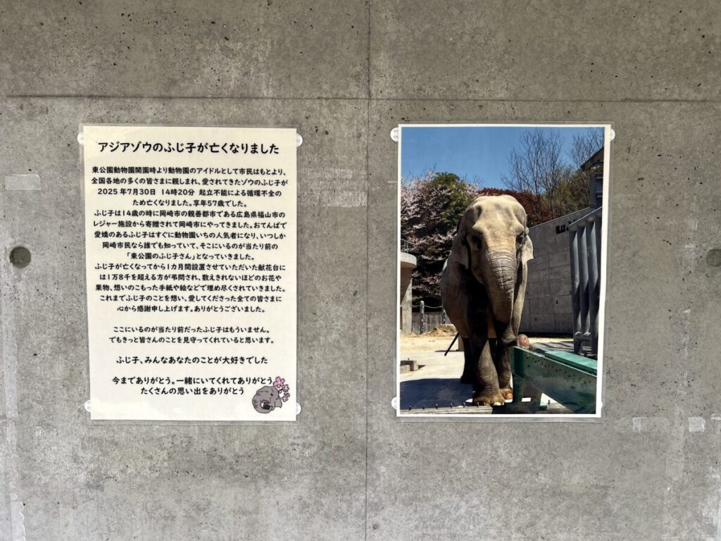 岡崎市東公園動物園 アジアゾウ ふじ子