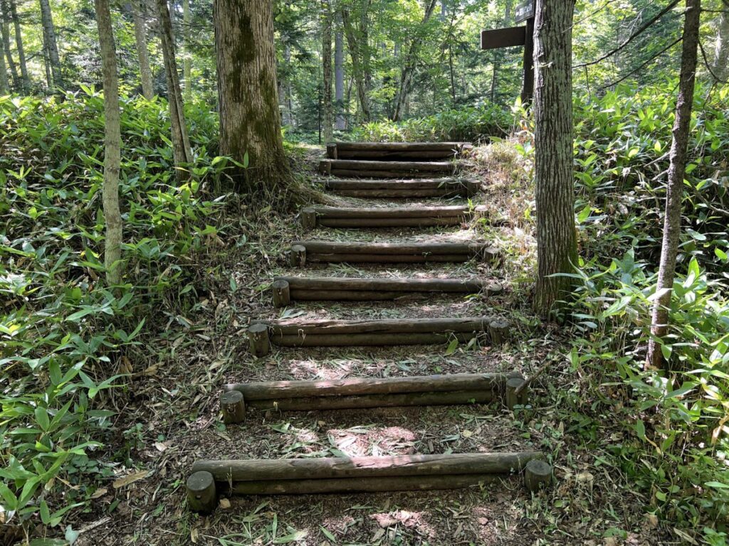 カミシホロホテル 周辺情報 タウシュベツ川橋梁 タウシュベツ川橋梁展望台 道のり 林道 段差
