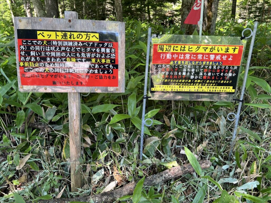 カミシホロホテル 周辺情報 タウシュベツ川橋梁 タウシュベツ川橋梁展望台 道のり クマ出没