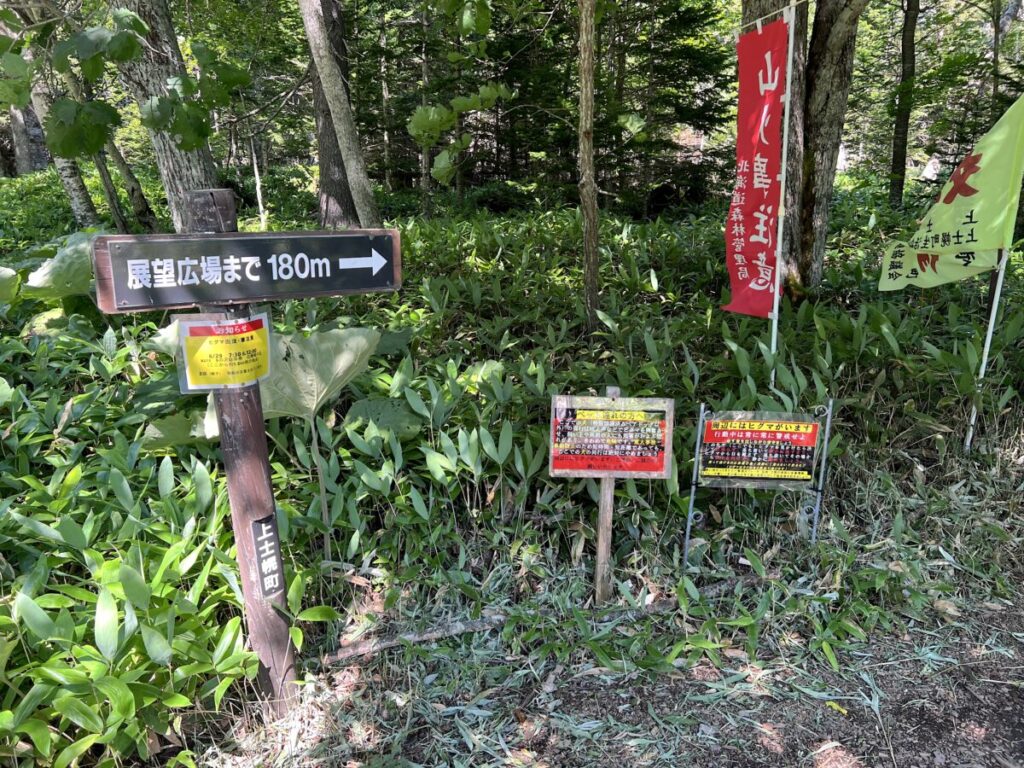 カミシホロホテル 周辺情報 タウシュベツ川橋梁 タウシュベツ川橋梁展望台 道のり